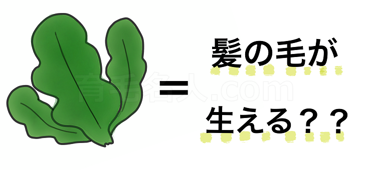 海藻を食べると薄毛が治るって本当？