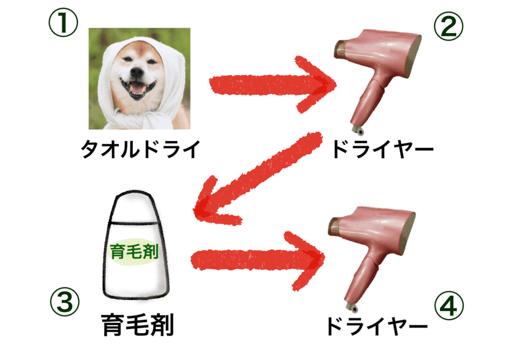 育毛剤を塗布した後は5〜10分程度放置して浸透させてからドライヤーで乾かすことをおすすめします