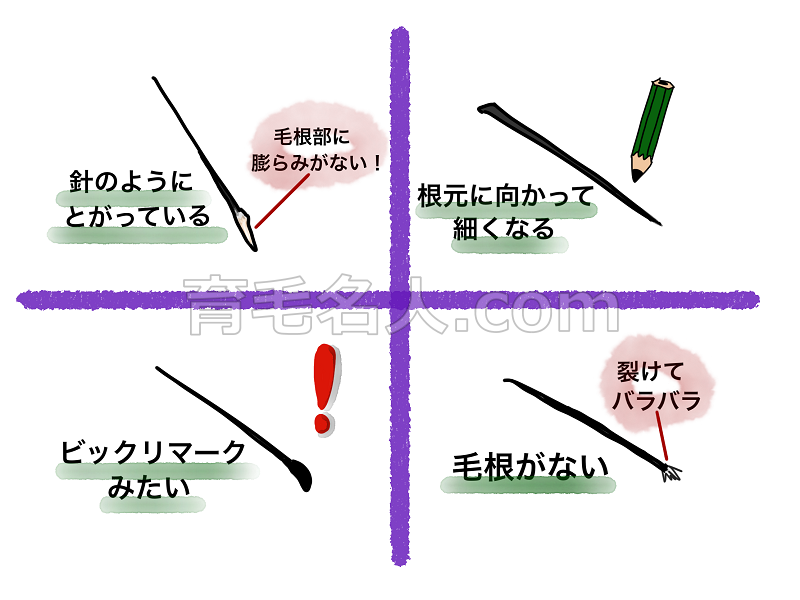AGAの影響を受けている可能性のある抜け毛の状態