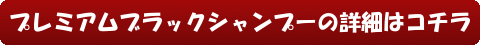プレミアムブラックシャンプーの詳細はコチラ