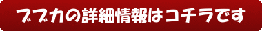 ブブカの詳細情報はコチラです