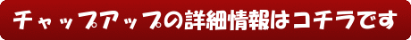 チャップアップの詳細情報はコチラです