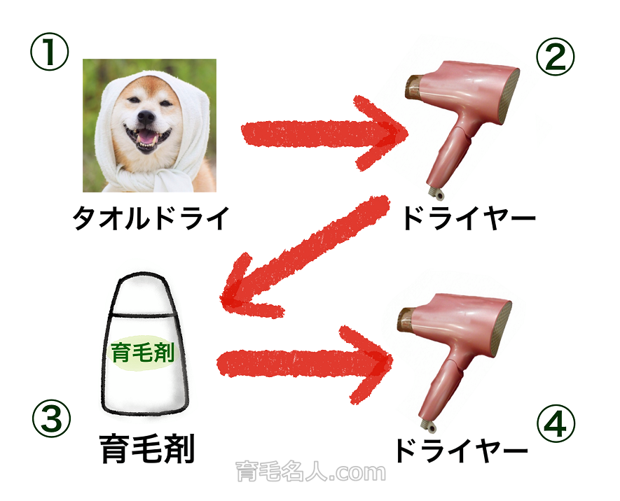 カラーリング後の理想のドライヤー・育毛剤をつける順番