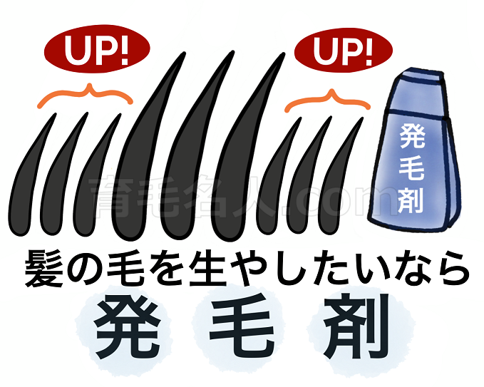 発毛やフサフサになるのが目的なら発毛剤がぴったり