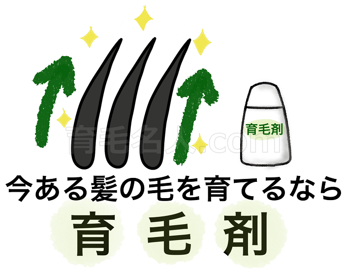 今ある髪の毛を育てるなら育毛剤でOK