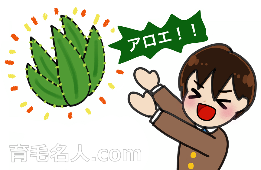 アロエを使って育毛剤を手作りする