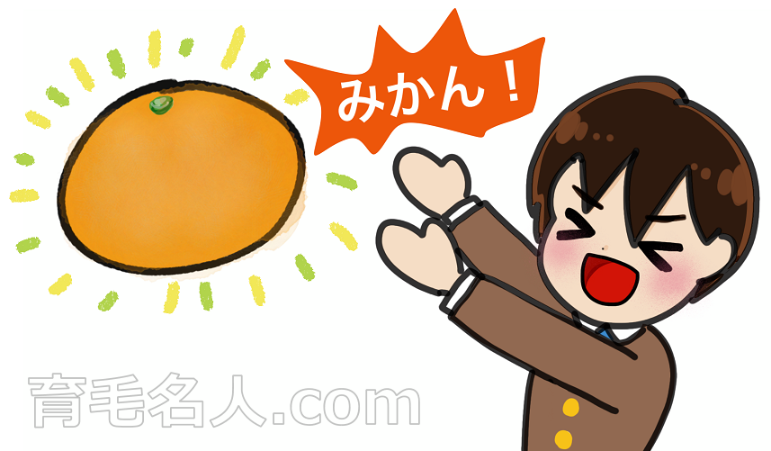 みかんの皮を使って育毛剤を手作りする