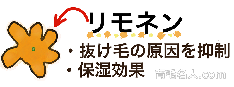 みかんの皮に含まれているリネモンは育毛にプラスな効果がある
