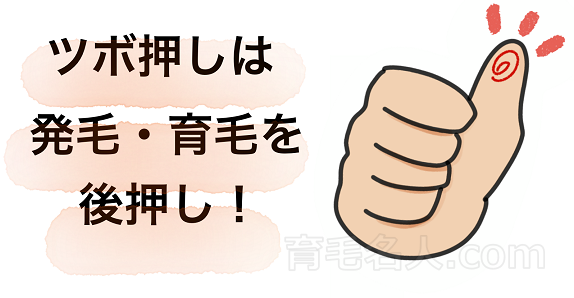 ツボ押しやマッサージは発毛効果が期待できる