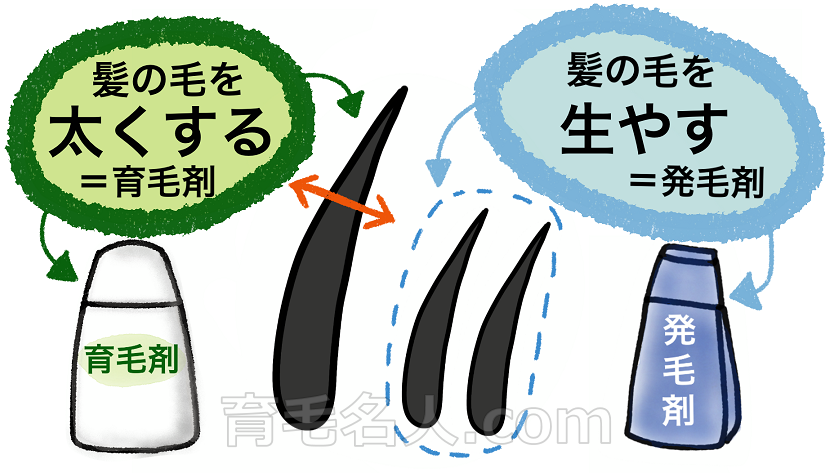 育毛剤と発毛剤の目的の違い
