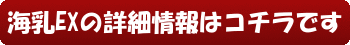海乳EXの詳細情報はコチラです