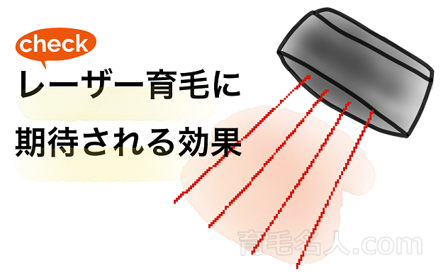 レーザー育毛に期待される効果