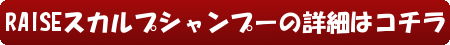 RAISEスカルプシャンプーの詳細はコチラ