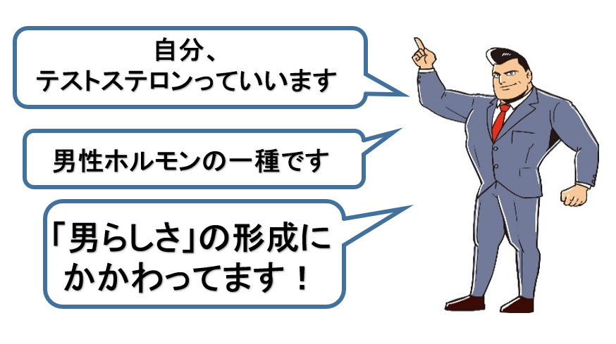 ソーパルメットは正常なテストステロン（男性ホルモン）にまで影響しない