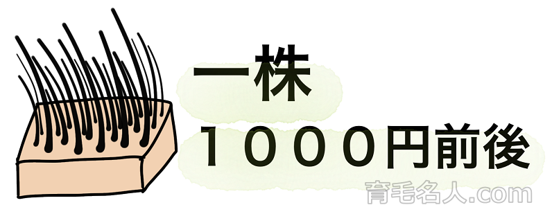 自毛植毛は一株1000円前後が費用の相場