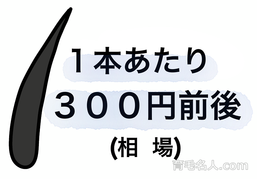 人工植毛は1本あたり300円前後が費用の相場