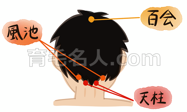 発毛・育毛・薄毛に効くと言われているツボ3つ