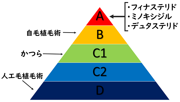 男性型脱毛症診療ガイドラインの評価の図
