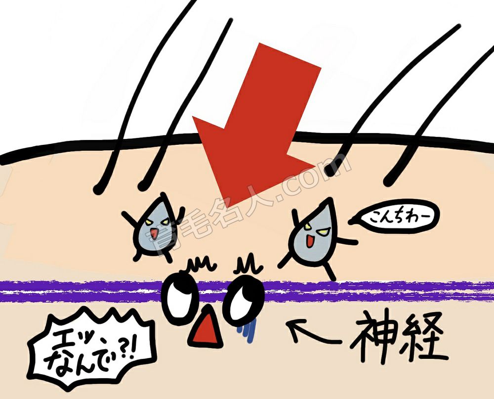 アルコールは神経を刺激する