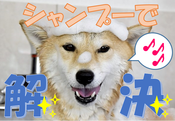 シャンプーで解決