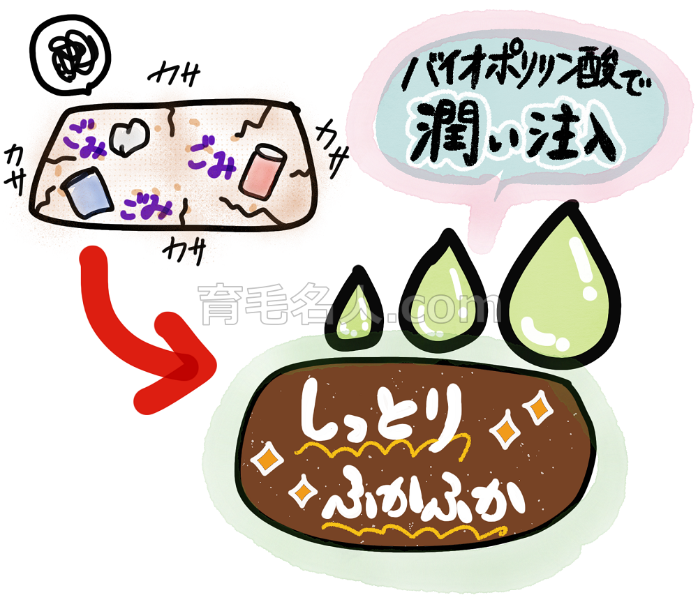 バイオポリリン酸で育毛に適した頭皮環境へ
