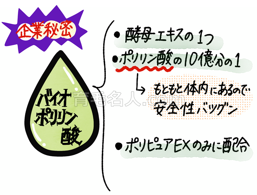 バイオポリリン酸とは