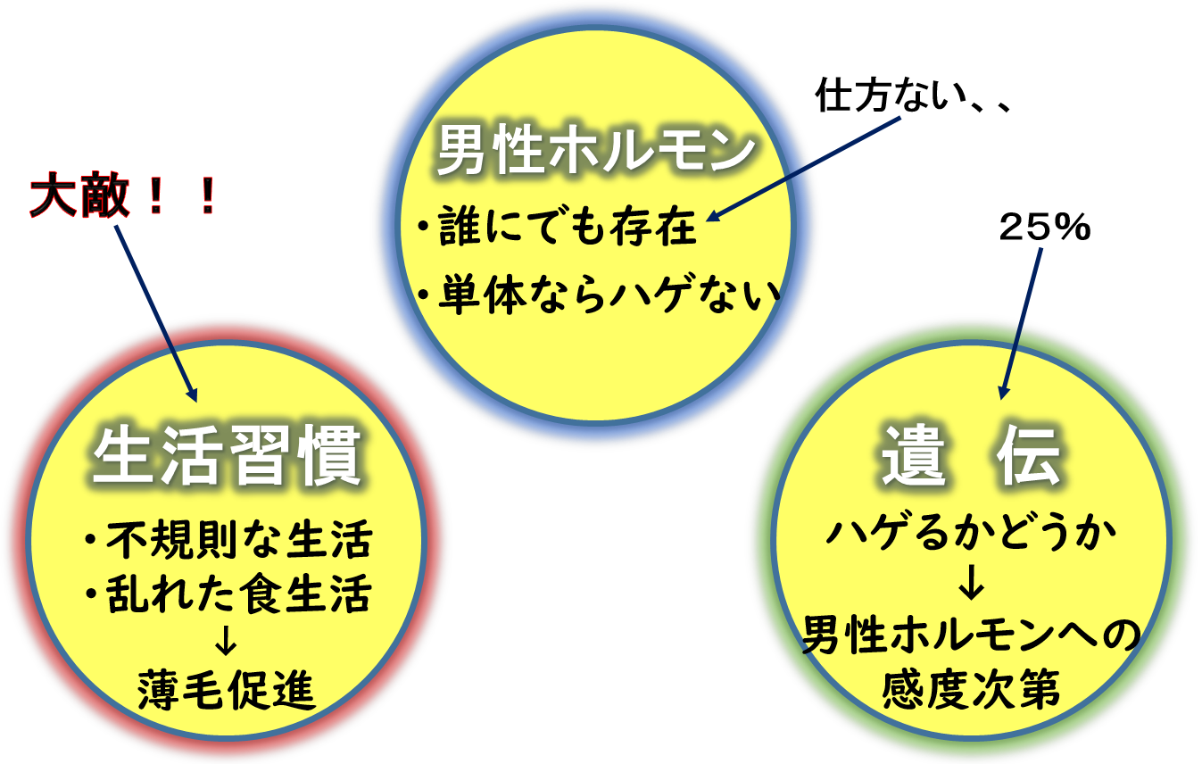 AGAの主な3つの原因