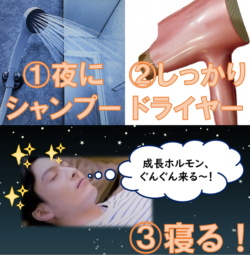 夜シャンプー→ドライヤー→寝る