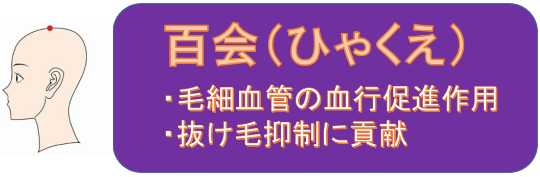 百会（ひゃくえ）
