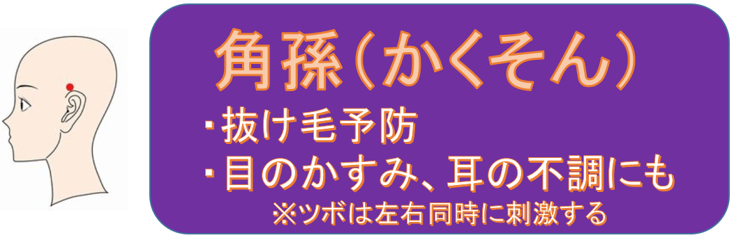 角孫(かくそん)