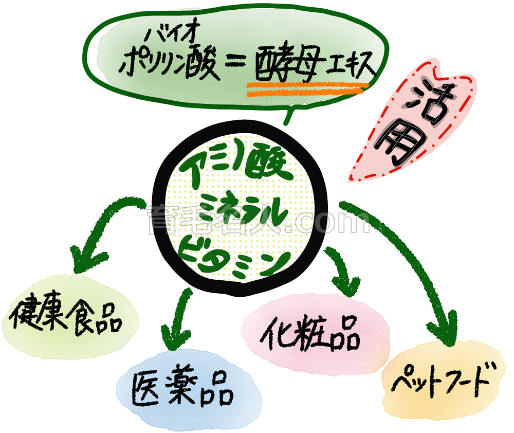 安全性が高い酵母エキスは多方面からひっぱりだこ